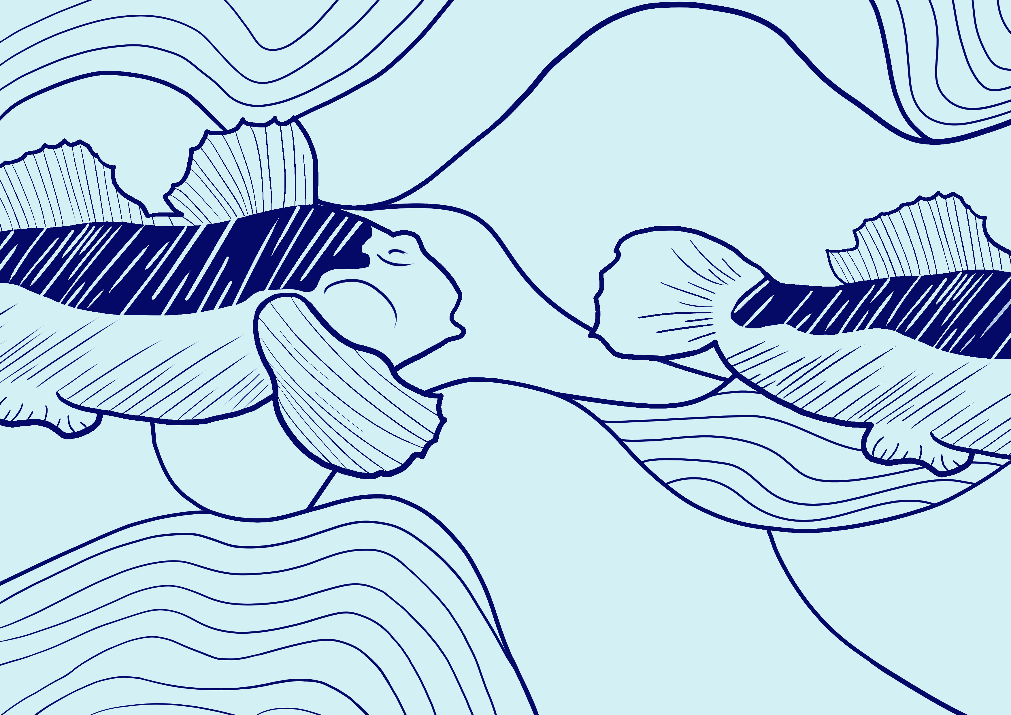 Bière blanche Gobie illustration