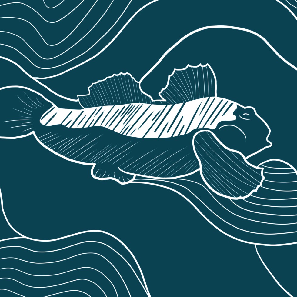 Bière blonde Gobie illustration